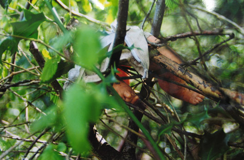 George Shaw – Sans titre