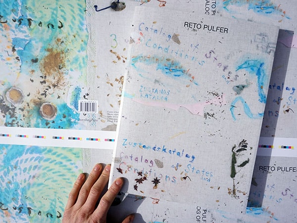 Reto Pulfer, performance