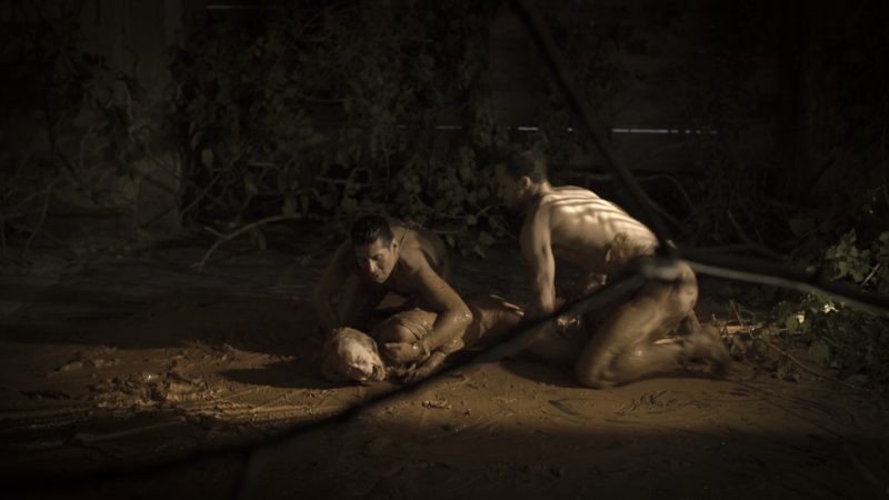 Biennale de l’Image en Mouvement, projection des films