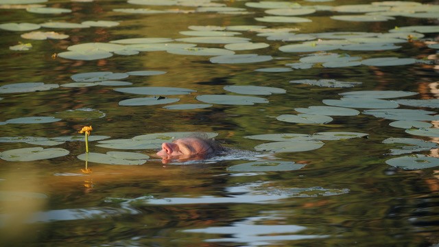 Sylvie Boisseau, Frank Westermeyer & David Zerbib