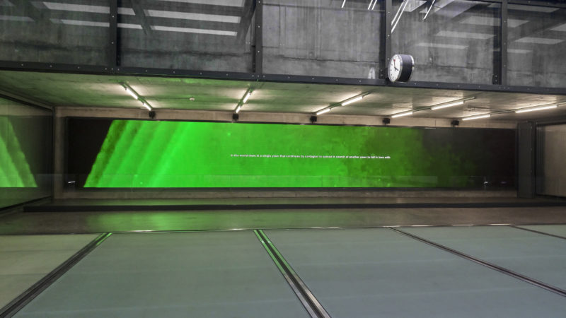 Giornata del Contemporaneo