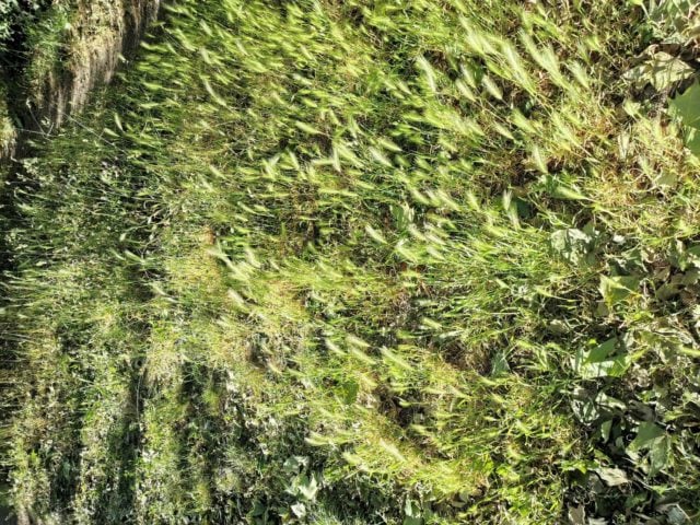 Atelier créatif – Le langage du silence