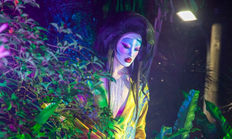 Guided Tours – Chrysalis : The Butterfly Dream