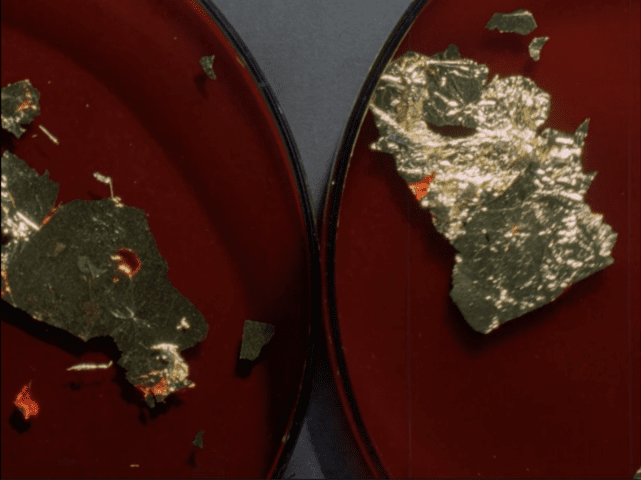 Chrysalis : Film program at Cinema Dynamo