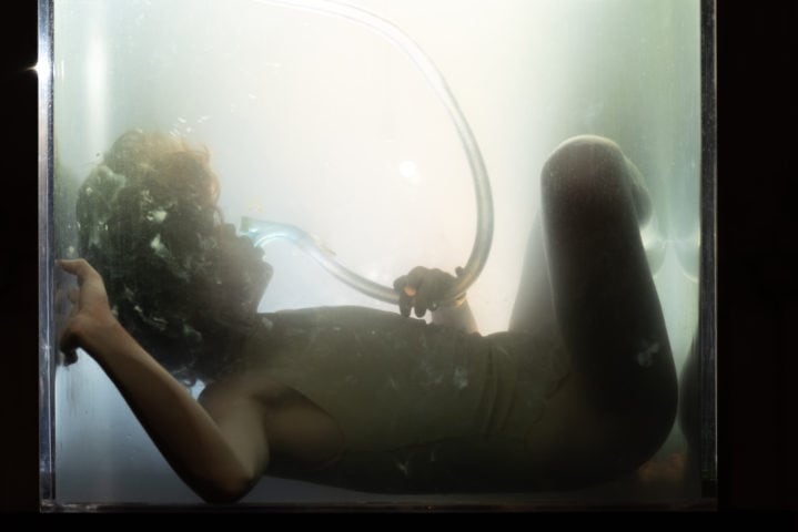 Performance – Agnes Questionmark