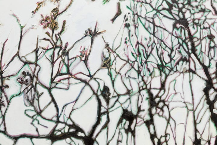 Visite guidée gratuite – Antonio Obá – 18.12