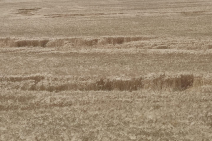 Le Trou – Nearest Pond